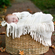 Jen Sherrick Photography : Baby Photography